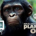 Království Planeta opic 2D (ČT)