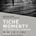 Výstava -  Tiché momenty